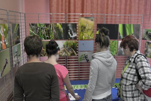 Automne Photographique en Champsaur - 21 septembre 2013