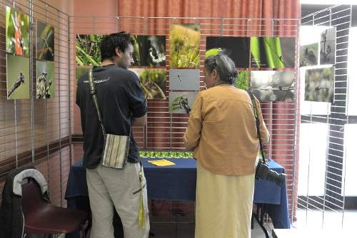 Automne Photographique en Champsaur - 22 septembre 2013