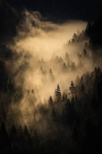 Cyrille Grillère - Prix du public 2013 - Automne Photographique en Champsaur