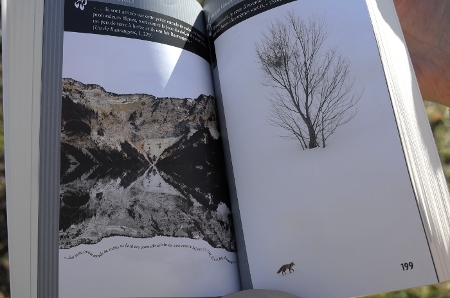 Revue Giono - Dialogue photographique avec Jean Giono