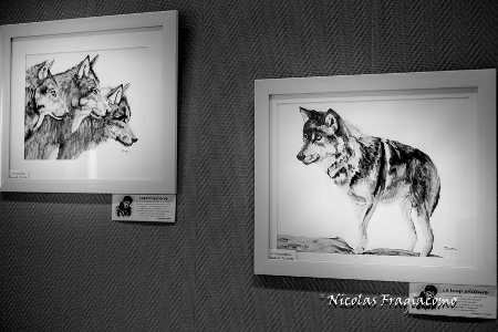 Photo Nicolas Fragiacomo - Automne photographique en Champsaur 2016