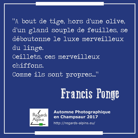 Francis Ponge - L'oeillet