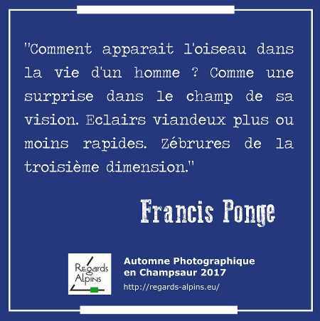 Francis Ponge - L'oiseau...